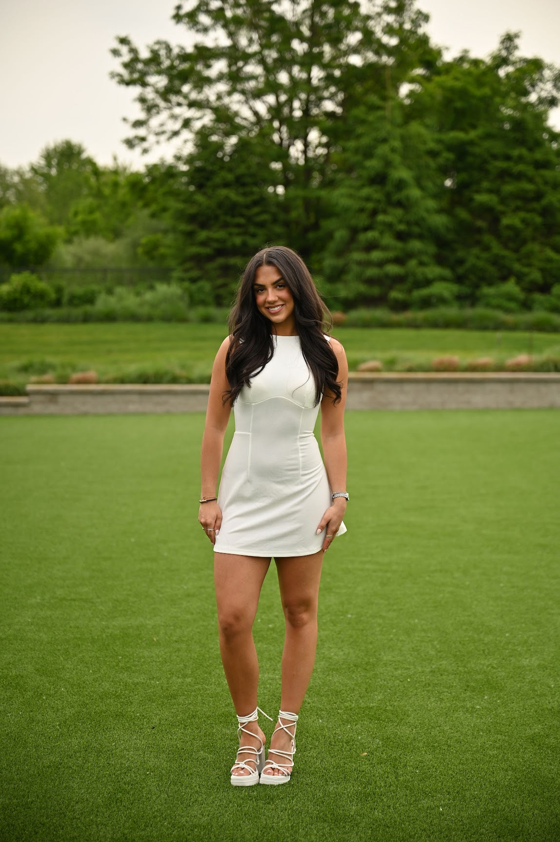 Chic Elegance Mini Dress