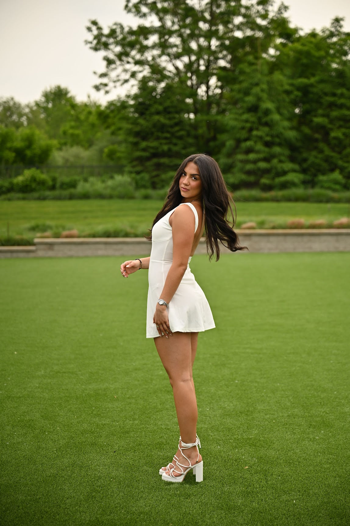 Chic Elegance Mini Dress