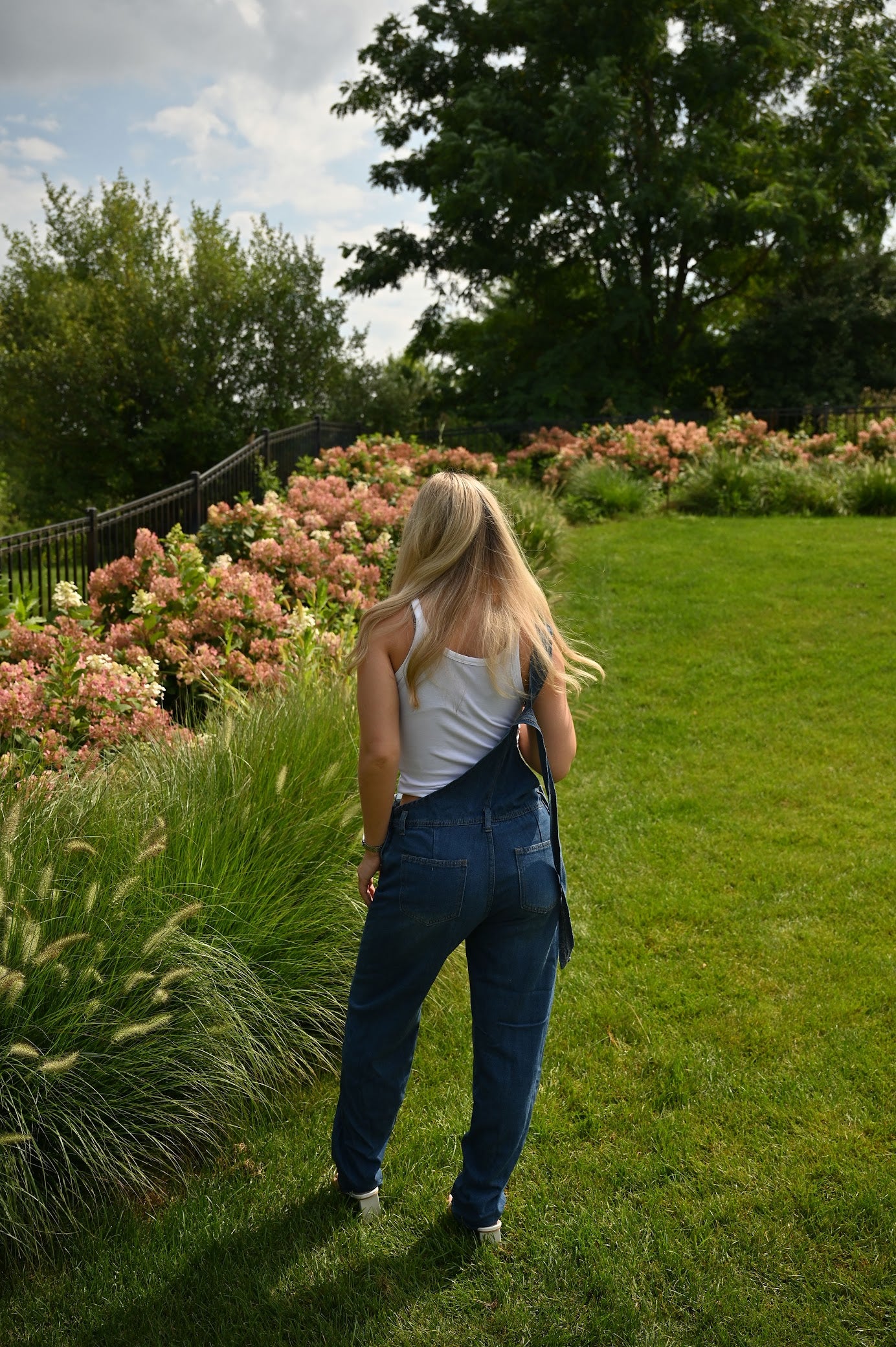 Denim Daydream Overalls