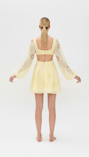 Our Dress