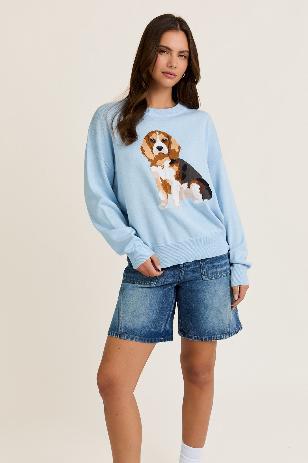 Beagle Sweatshirt