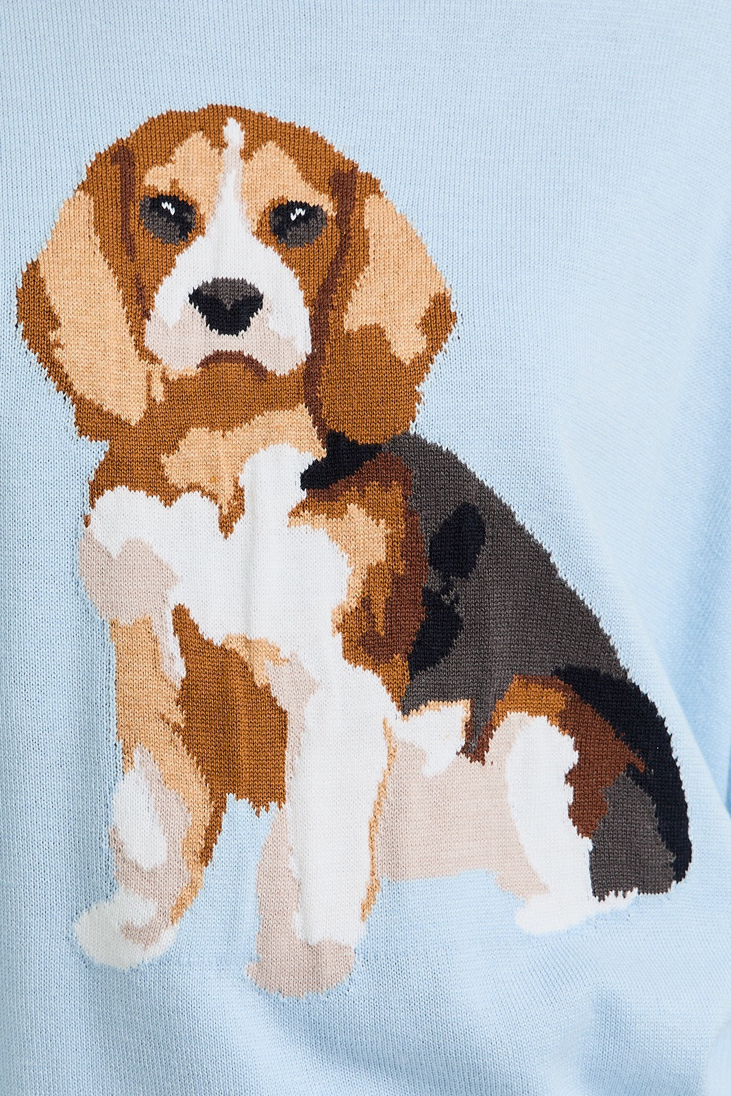 Beagle Sweatshirt