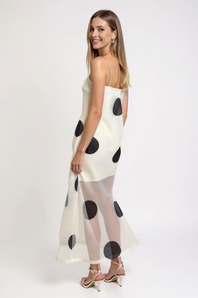 Polka Dot Sheer Maxi