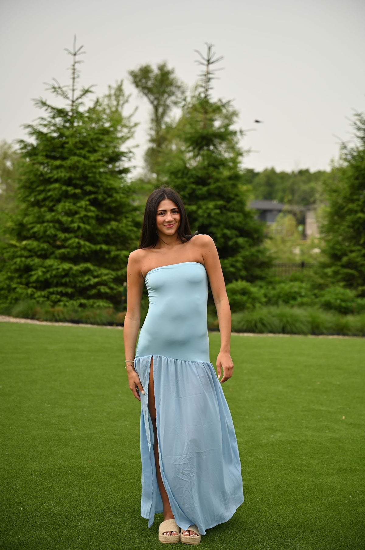 Periwinkle Dress