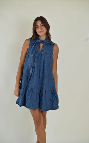 Lainey Denim Dress