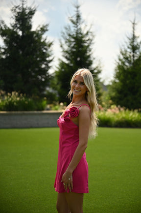 Tickled Pink Dress