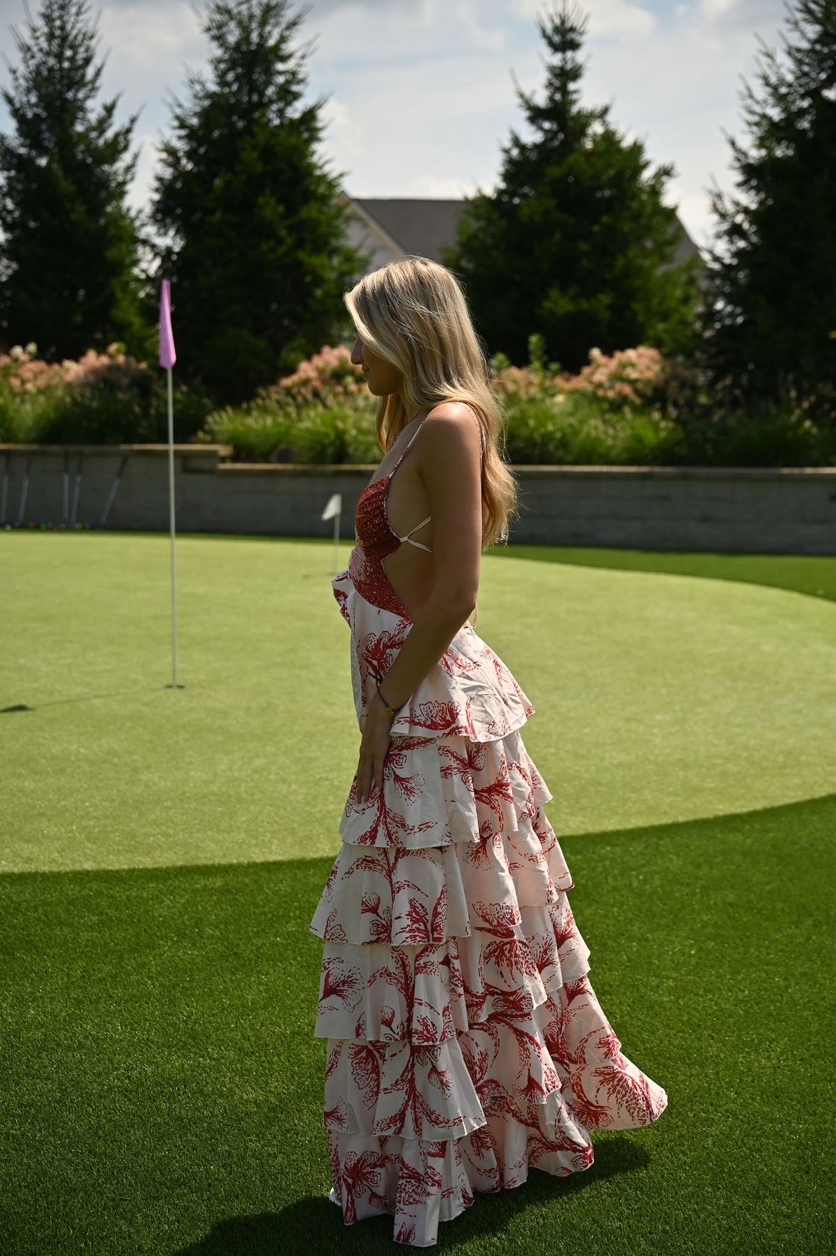 Swan Dress