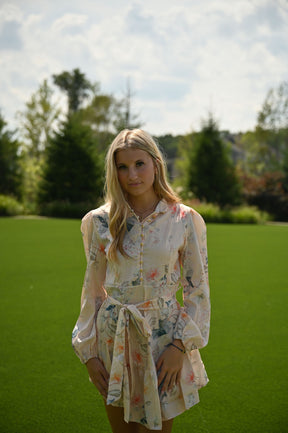 Blush Affair Dress