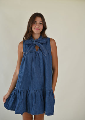 Lainey Denim Dress