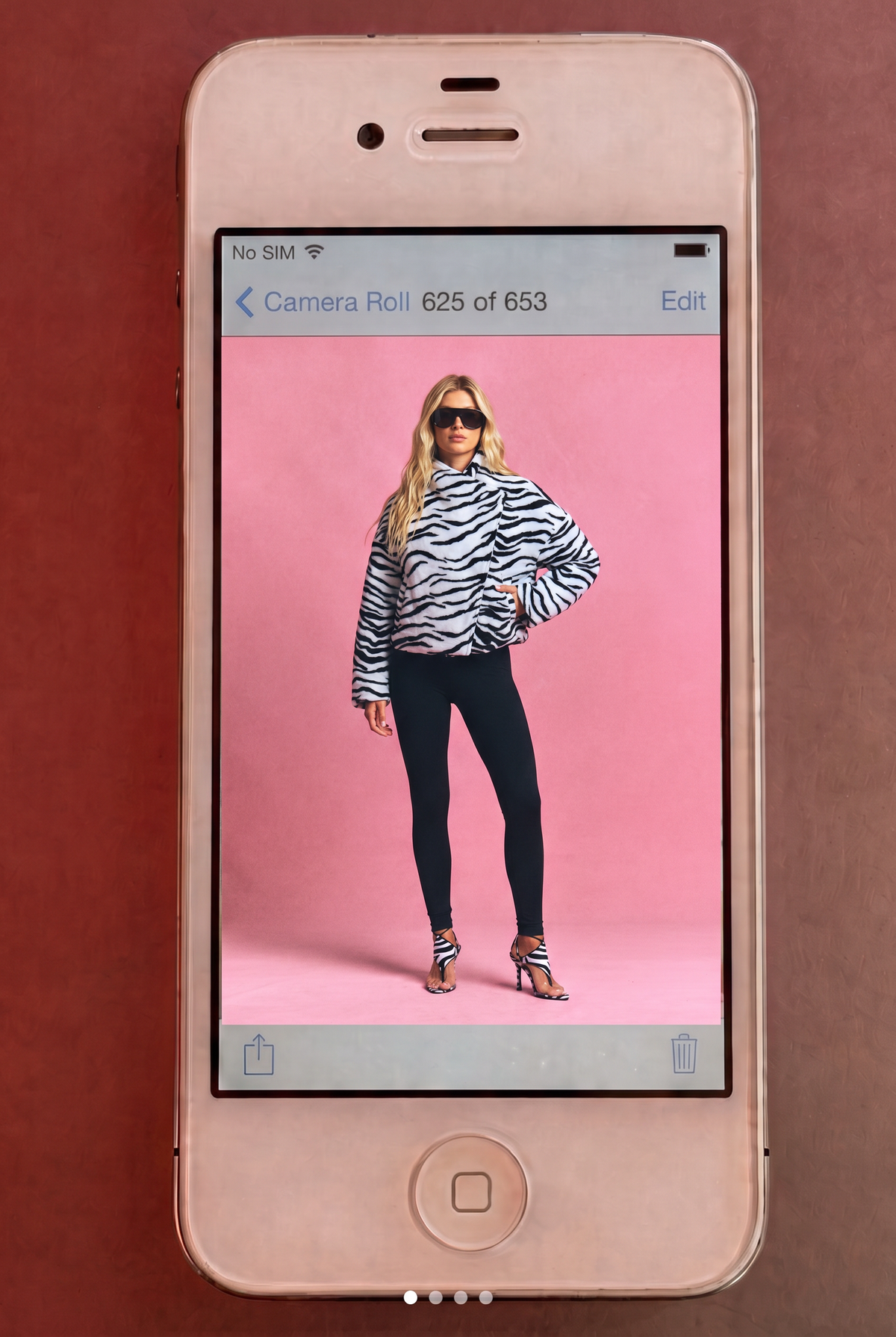 Zebra Jacket